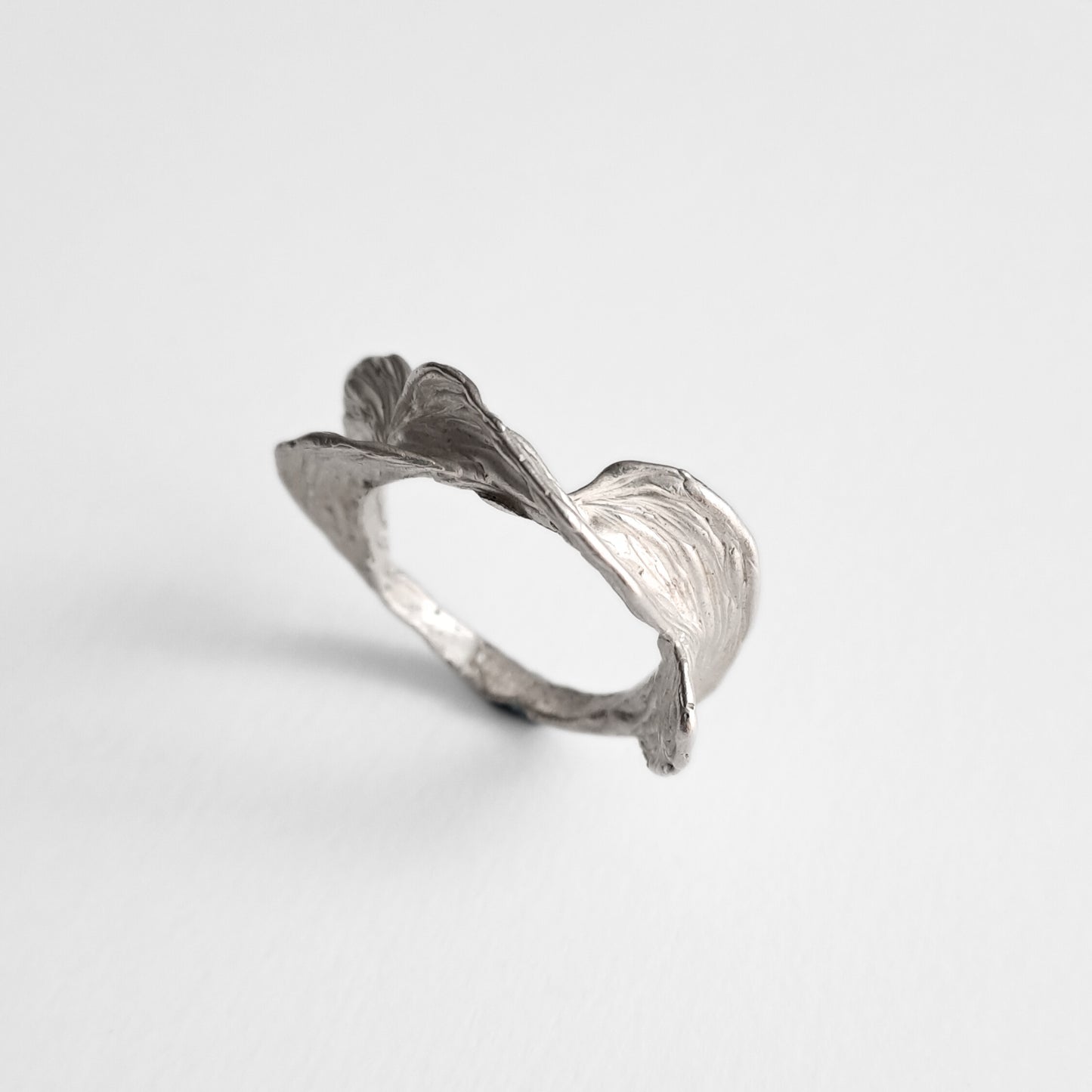 Bague Bíseach
